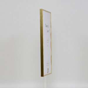 Efektný plastový rám Art gold 50x100 cm číre sklo