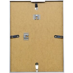 Effect Aluminium-Bilderrahmen Serie 2 Klarglas silber 35x100 cm