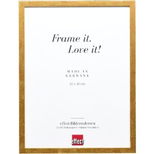 Effect Holzrahmen Profil 51 antikgold 23x70 cm Klarglas