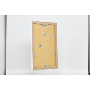 Efektný rám 2310 biely 62x93 cm normálne sklo