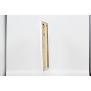 Efektný rám 2310 biely 62x93 cm normálne sklo