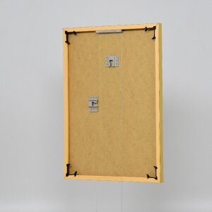 Efektný plastový rám Art gold 23x70 cm múzejné sklo