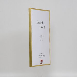Efektný plastový rám Art gold 23x70 cm múzejné sklo