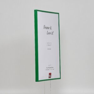 Efektný plastový rám Art green 35x100 cm múzejné sklo