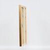 Effect Holz-Bilderrahmen Profil 41 Antikgold 25x30 cm Museumsglas