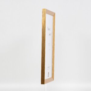 Effect Holz-Bilderrahmen Profil 41 Antikgold 25x80 cm Museumsglas