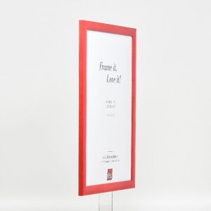 effect Holz-Bilderrahmen Profil 43 lachs 25x60 cm Museumsglas