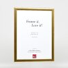 Effect Holz-Bilderrahmen Profil 43 gold 27x48 cm Museumsglas