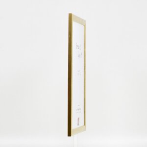 Effect Holzbilderrahmen Profil 43 gold 61x91,5 cm Museumsglas