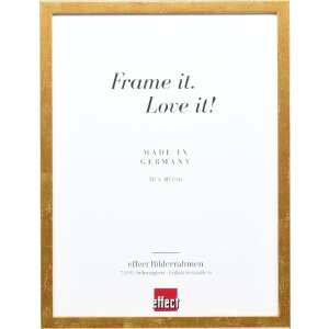 effect Bilderrahmen Profil 51 antikgold 30,5x91,5 cm mit...