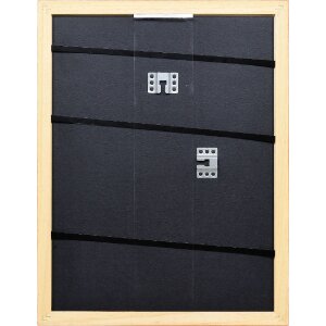 Effect Holzrahmen Profil Top Pro orange 35x100 cm Museumsglas