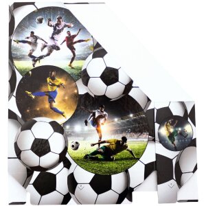 HERMA 19716 Kartónový organizér A4 s futbalovým dizajnom s otvorom na uchopenie