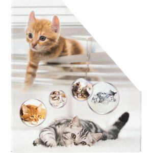 HERMA 19717 Kartónový zakladač A4 na časopisy s mačacím dizajnom s otvorom na uchopenie