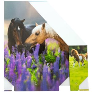 HERMA 19718 Spis na časopisy A4 kartón s dizajnom koňa s otvorom na rukoväť