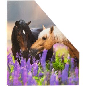 HERMA 19718 Spis na časopisy A4 kartón s dizajnom koňa s otvorom na rukoväť