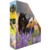 HERMA 19718 Spis na časopisy A4 kartón s dizajnom koňa s otvorom na rukoväť