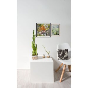 Hliníkový rám Nielsen Accent 42x59,4 cm DIN A2 čierny matný