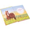 Goldbuch friends book Akira 15x21 cm 88 ilustrovaných strán