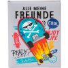 Goldbuch friends kniha Skater 15x21 cm 88 ilustrovaných strán