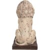 Clayre & Eef 6MG0043 Barokná dekorácia lev béžová 30x23x45 cm