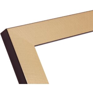 Deknudt S47BB2 rám obrazu zlatý/čierny okraj 20x20cm plast