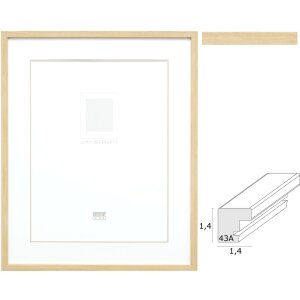 Deknudt S43AH1 fotorámik z...