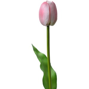 Clayre & Eef 6PL0311 Umelý tulipán...