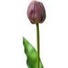 Clayre & Eef 6PL0312 Umelý kvet Tulipán fialový 4x4x32 cm