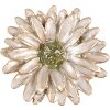 Clayre & Eef 65738 Kľučka na dvere Kvetina Biele zlato Ø 4x3 cm Kov Botanical