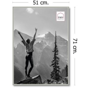 Plastový fotorámik Haes Deco EF8S Easy Frame Silver 50x70 cm