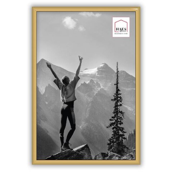 Plastový fotorámik Haes Deco EF4G Easy Frame Gold 20x30 cm