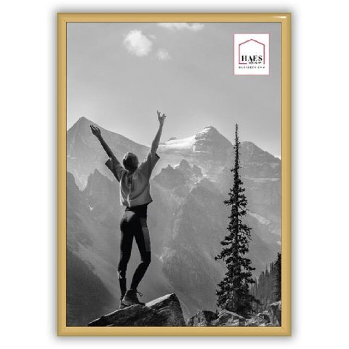 Haes Deco EF11G Easy Frame Gold A4 21x29,7 cm plastový rám