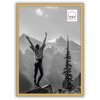 Haes Deco EF11G Easy Frame Gold A4 21x29,7 cm plastový rám