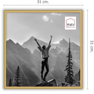 Haes Deco EF13G Easy Frame Zlatý plastový rám 30x30 cm