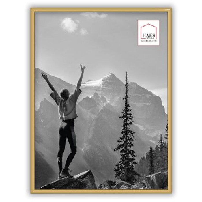 Plastový fotorámik Haes Deco Easy Frame Gold 30x40 cm
