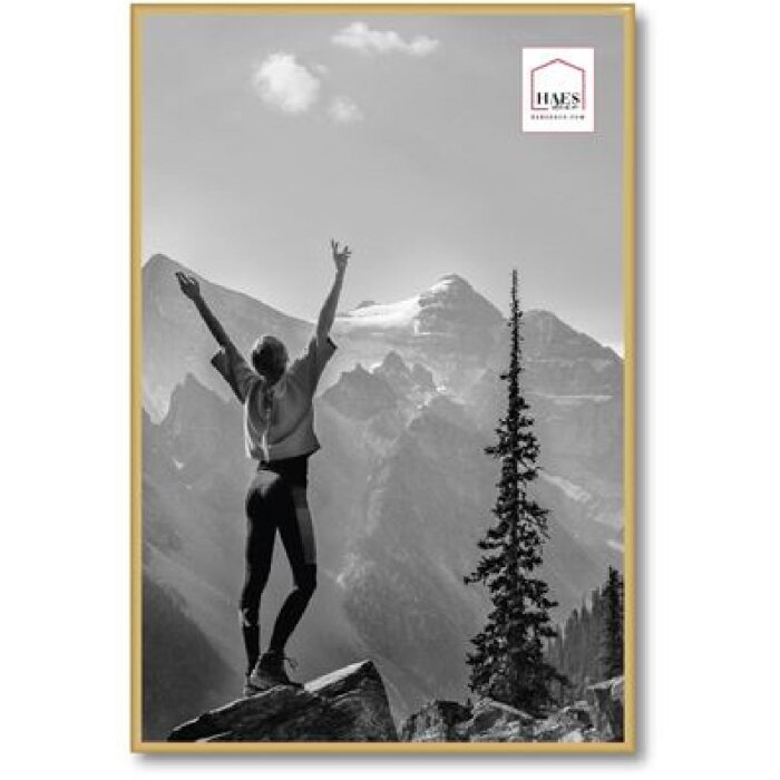 Plastový fotorámik Haes Deco EF9G Easy Frame Gold 40x60 cm MDF zadný panel