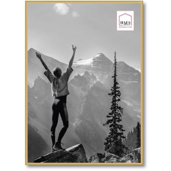Plastový fotorámik Haes Deco EF8G Easy Frame Gold 50x70 cm na montáž na stenu
