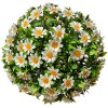 Clayre & Eef 6PL0324M Dekoratívna guľa umelý kvet sedmokráska Ø 22 cm