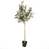 Clayre & Eef 5PL0149 Dekoratívny strom zelený 20x20x90 cm plast