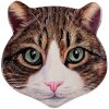 Clayre & Eef 6CE2065 Podložka pod panvicu Cat Ceramic Brown 20x20 cm Country House