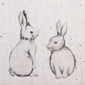 Clayre & Eef BNS43 sada 6 obrúskov 40x40 cm béžová sivá s motívom zajačika
