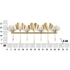 Nástenný vešiak Mauro Ferretti 7 listov 66,2x6x26,3 cm zlatý