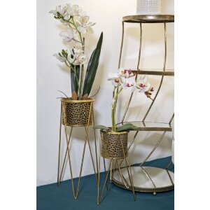 Mauro Ferretti stojan na kvety Glod set 2 21x20x46 a 18x18x32 cm zlatý