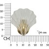 Mauro Ferretti nástenné svietidlo Shell E14 20x14x22 cm zlaté natur