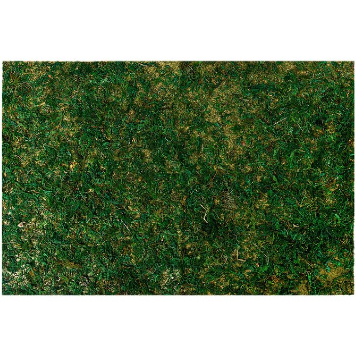 Clayre & Eef 66121 Machová rohož 60x40x1 cm Svieža zelená plastová dekorácia