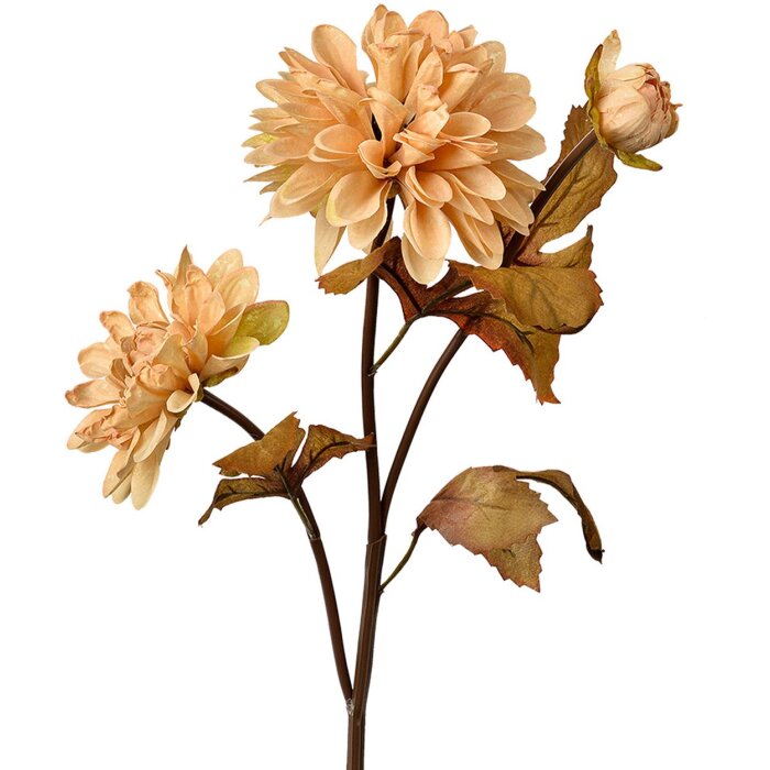 Clayre & Eef 6PL0387BE Umelý kvet béžová hnedá 10x10x66 cm