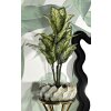Mauro Ferretti Obkladový kvetináč Perly 43x16 cm