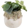 Clayre & Eef kvetináč s reliéfom dubového lístia 15x13 cm béžovo-zelený