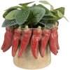 Clayre & Eef kvetináč Ø 17x13 cm béžovo-červený terakota