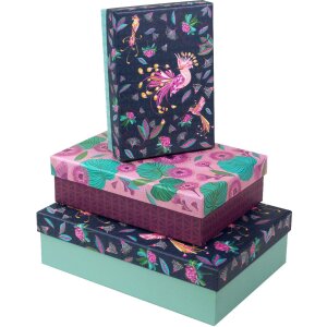 Goldbuch Kartónový set Tropical